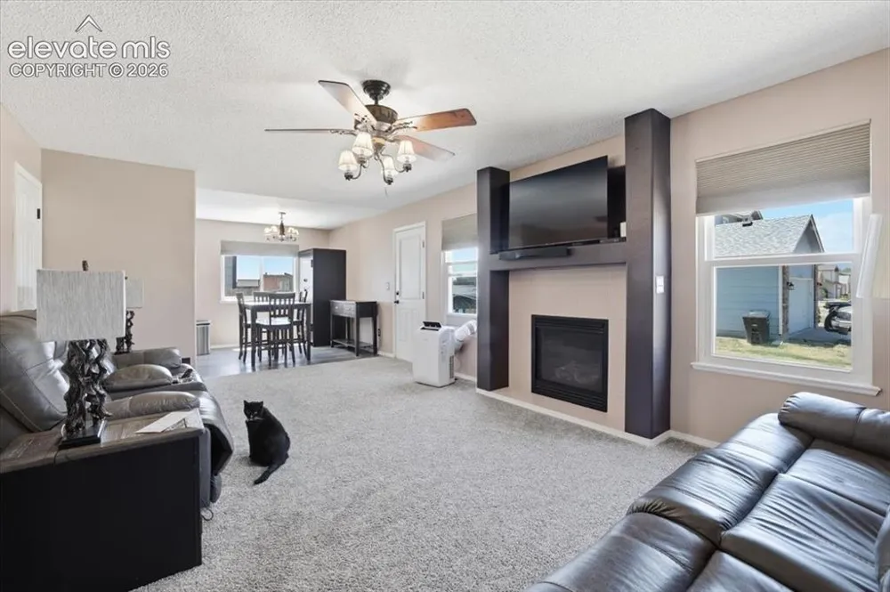 9310 Cormorant Drive Fountain, CO 80817