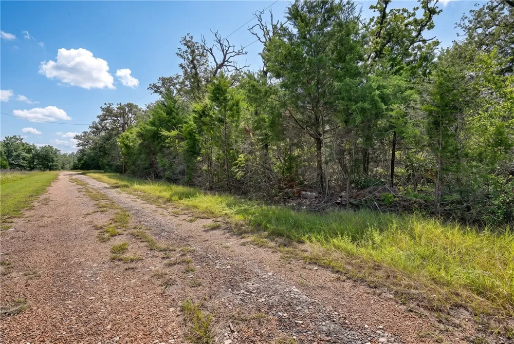 E Lois Lane Somerville, TX 77879