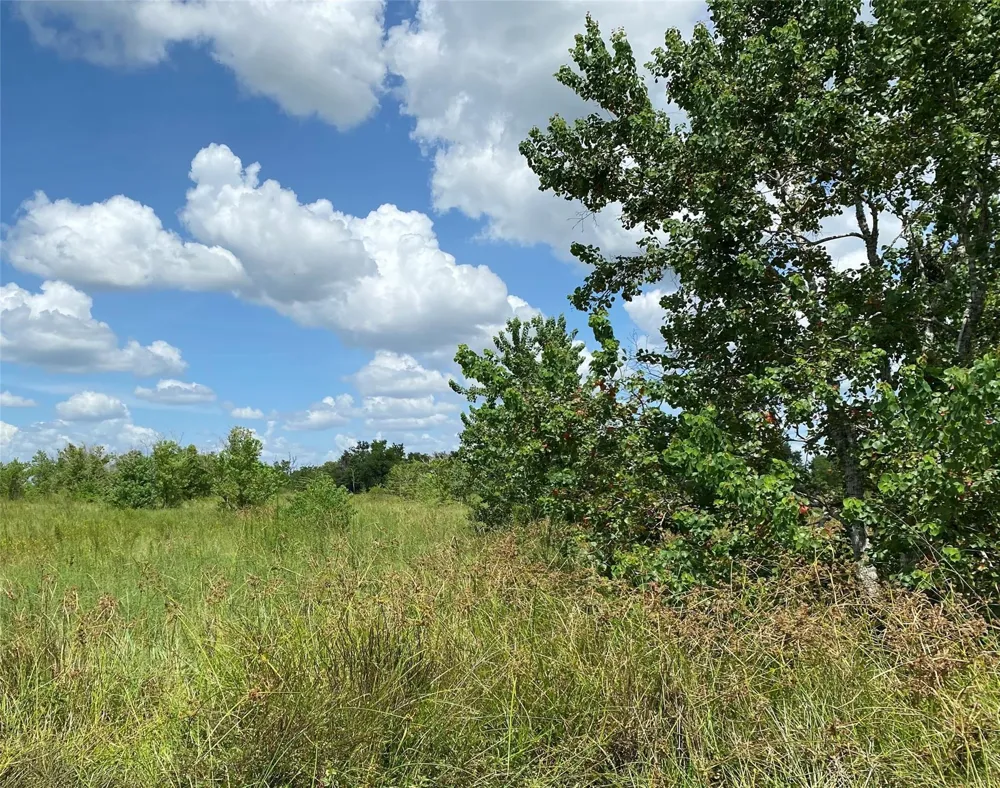 1 Kveton Road Cat Spring, TX 78933