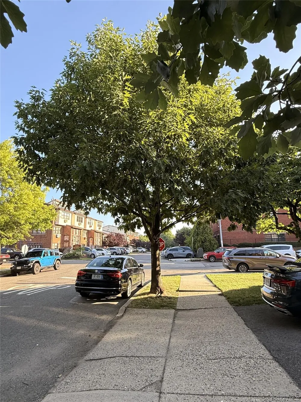 303 121st Street #116 College Point, NY 11356