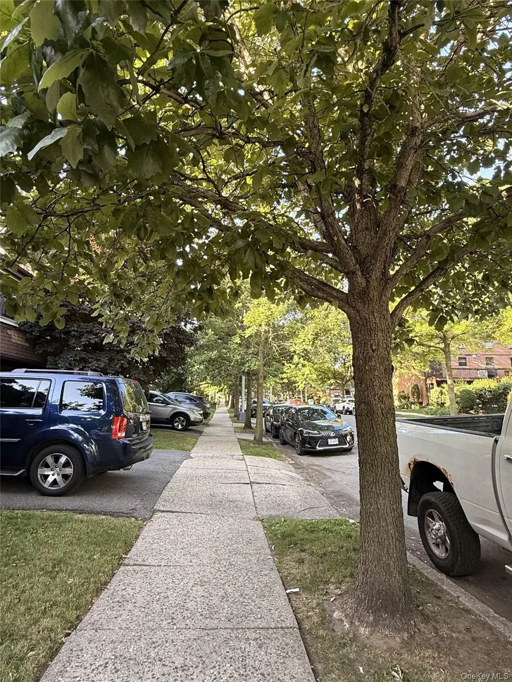 303 121st Street #116 College Point, NY 11356