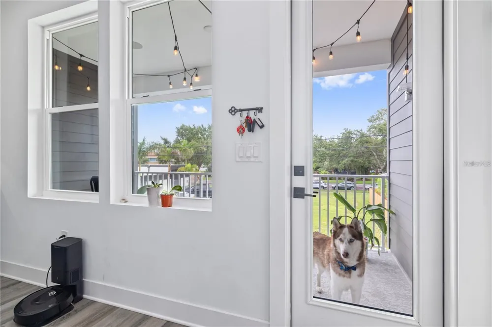 41 29TH STREET St Petersburg, FL 33713