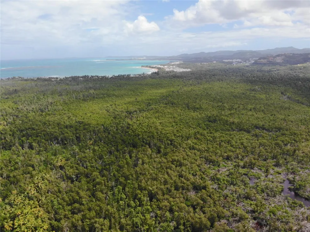 968 CAMINO LAS PICUAS #26-30 Rio Grande, PR 00745