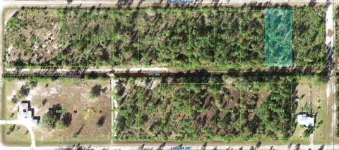 Tropicana Dr