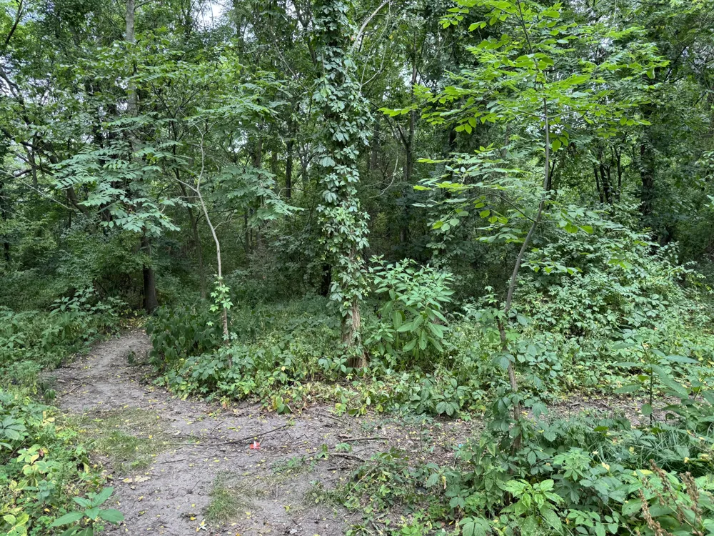 5708 Division S Grand Rapids, MI 49548