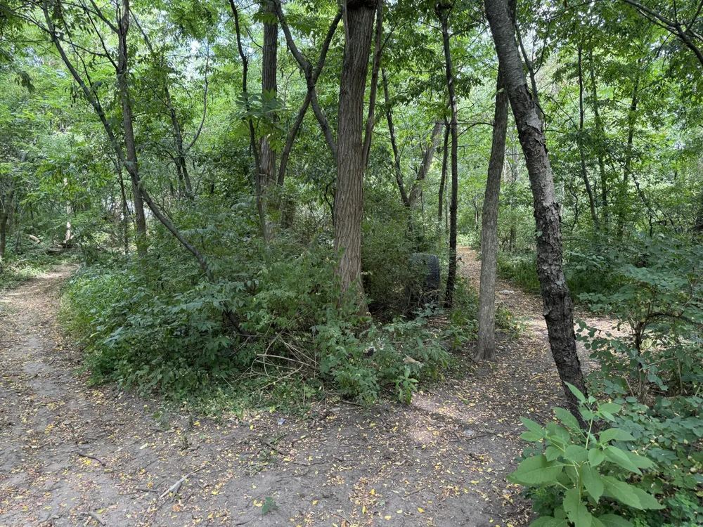 5708 Division S Grand Rapids, MI 49548