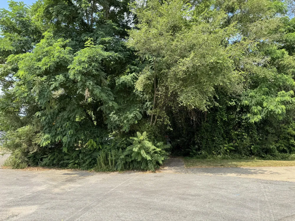 5708 Division S Grand Rapids, MI 49548