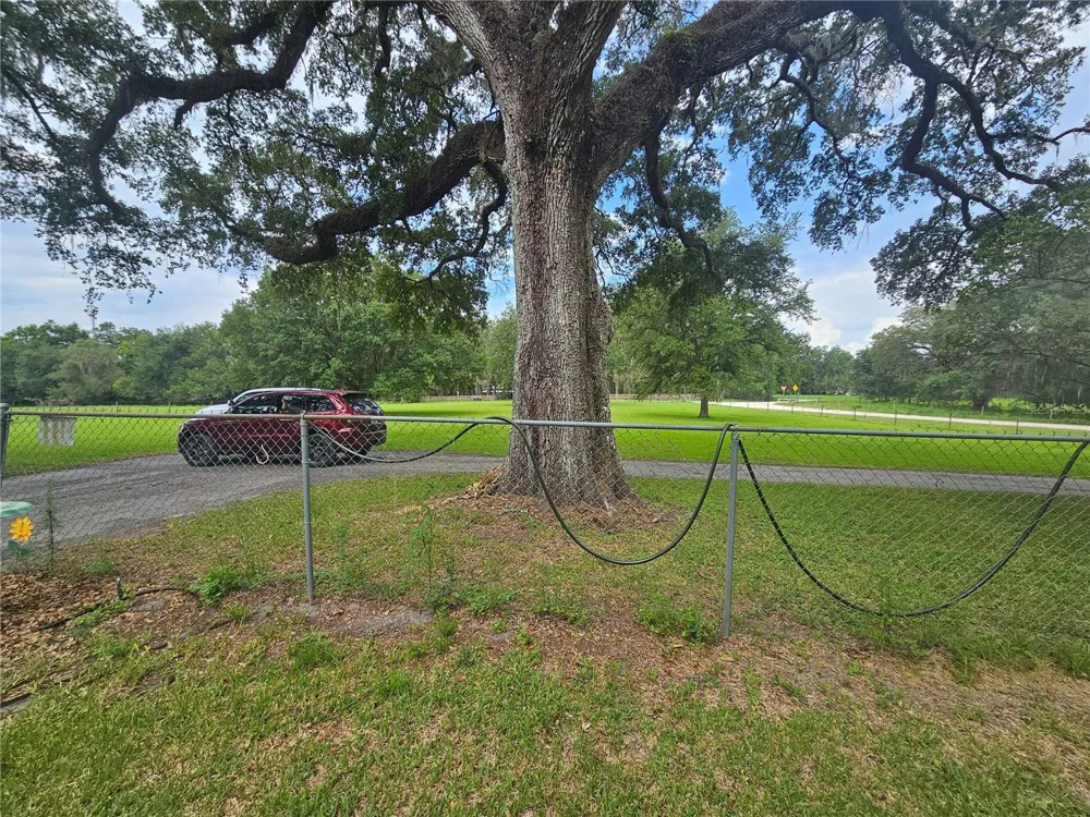 31110 HARTMAN ROAD San Antonio, FL 33576