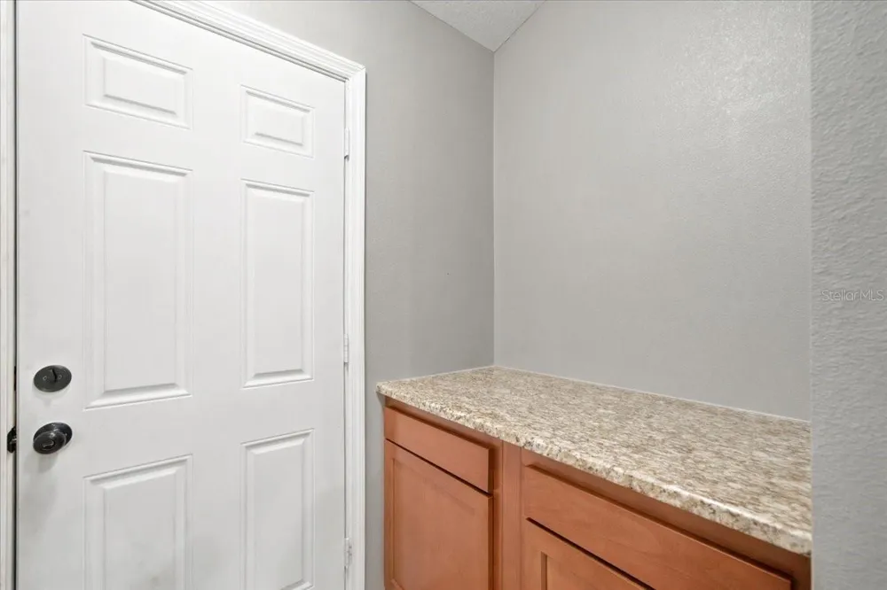12327 MILLINGTON AVENUE Weeki Wachee, FL 34614