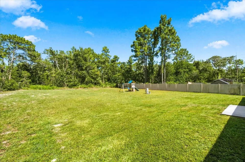12327 MILLINGTON AVENUE Weeki Wachee, FL 34614