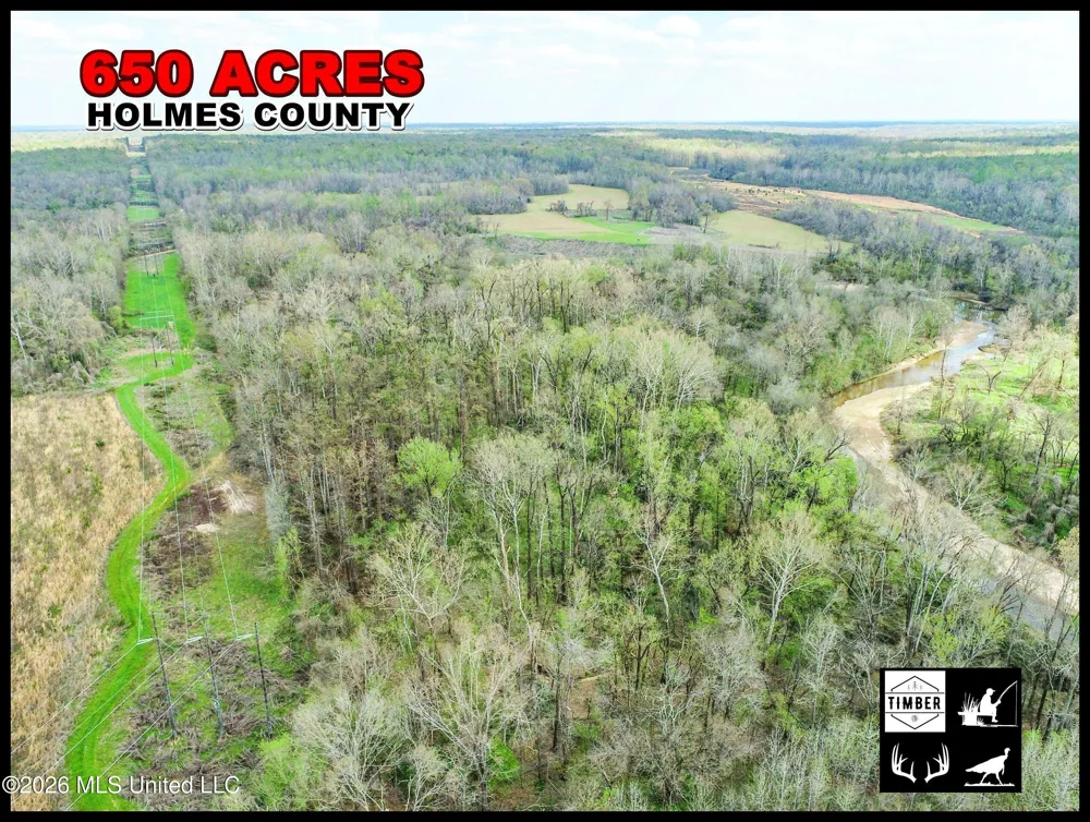 Chinqupin Road Lexington, MS 39095