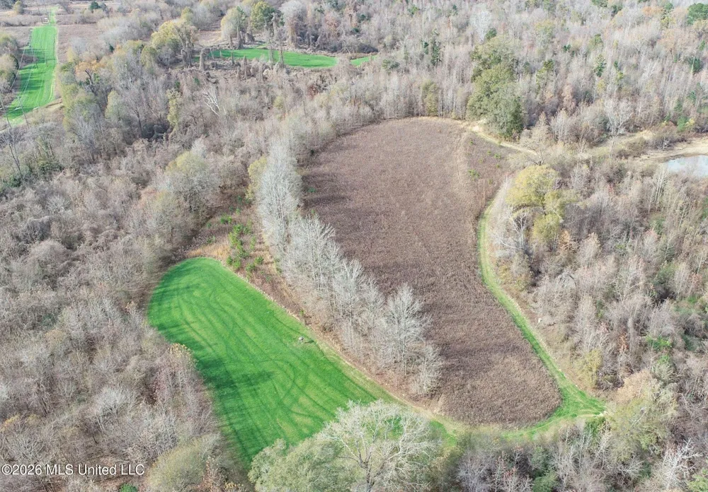 Chinqupin Road Lexington, MS 39095