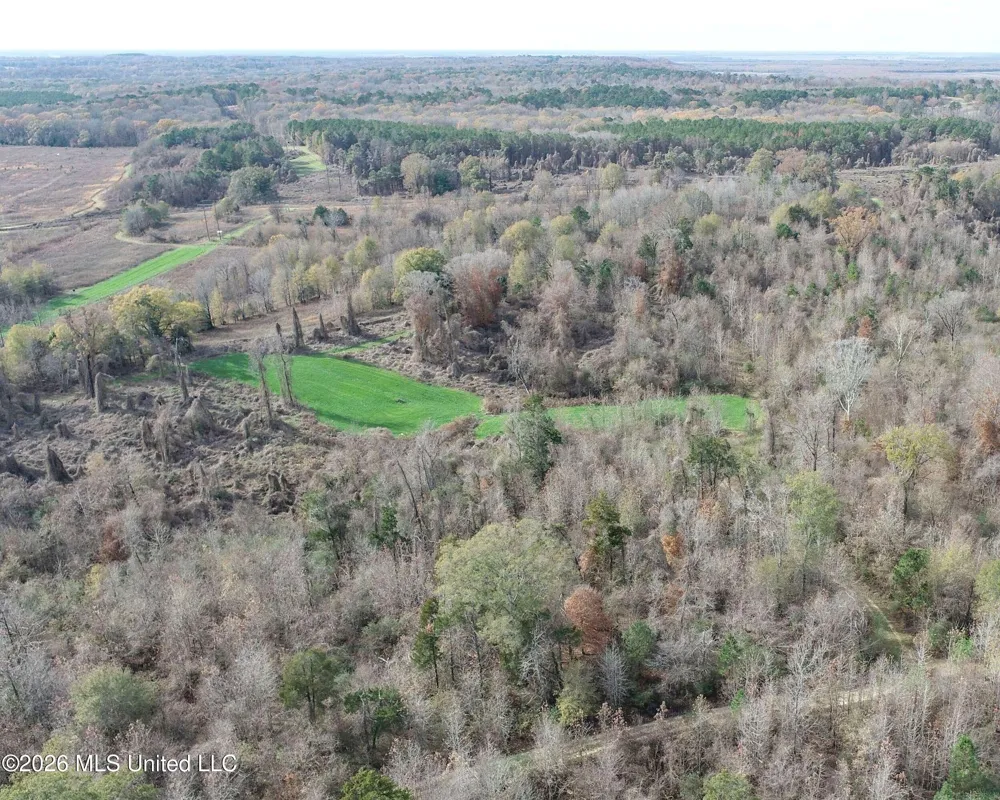 Chinqupin Road Lexington, MS 39095