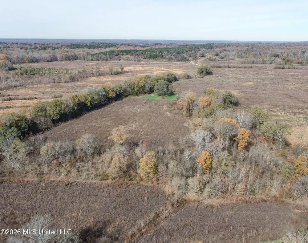 Chinqupin Road Lexington, MS 39095