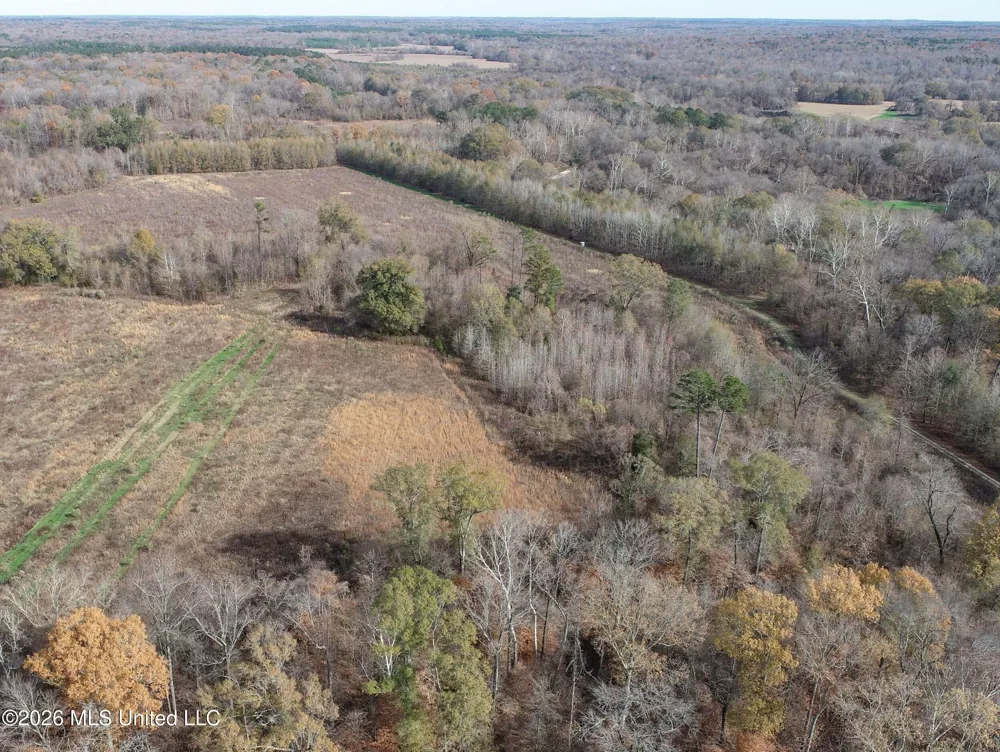 Chinqupin Road Lexington, MS 39095