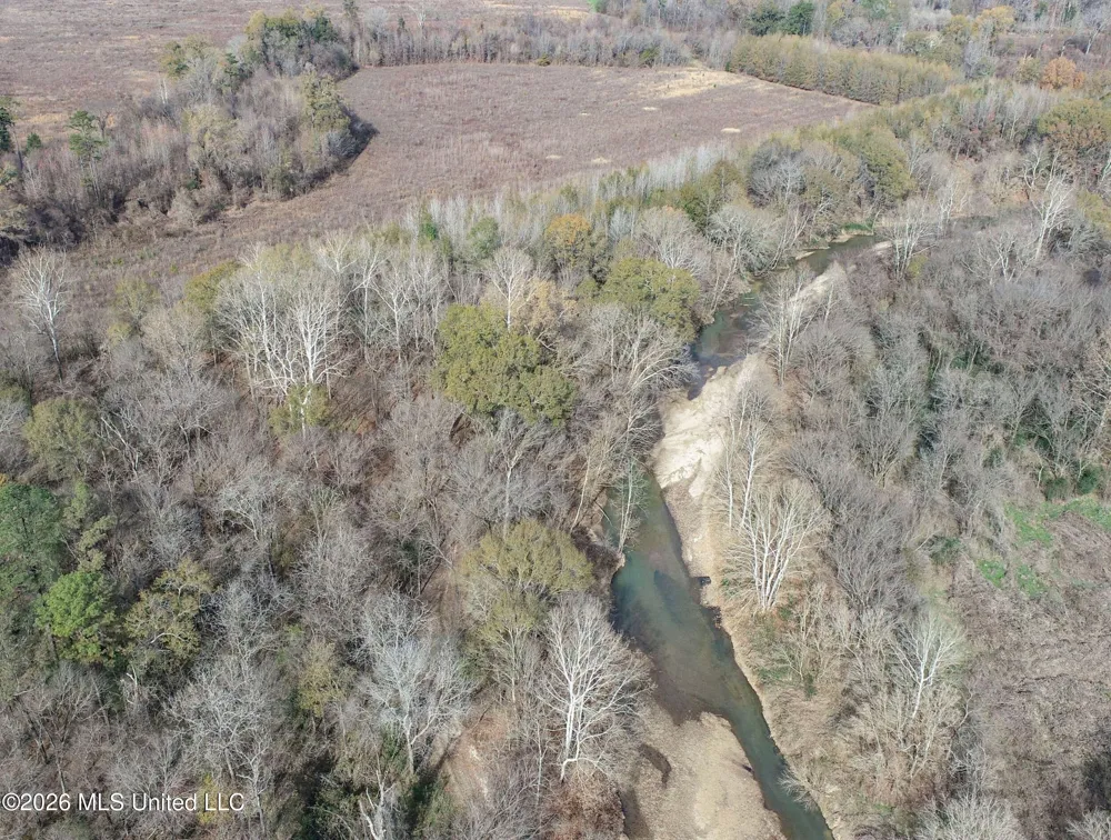 Chinqupin Road Lexington, MS 39095