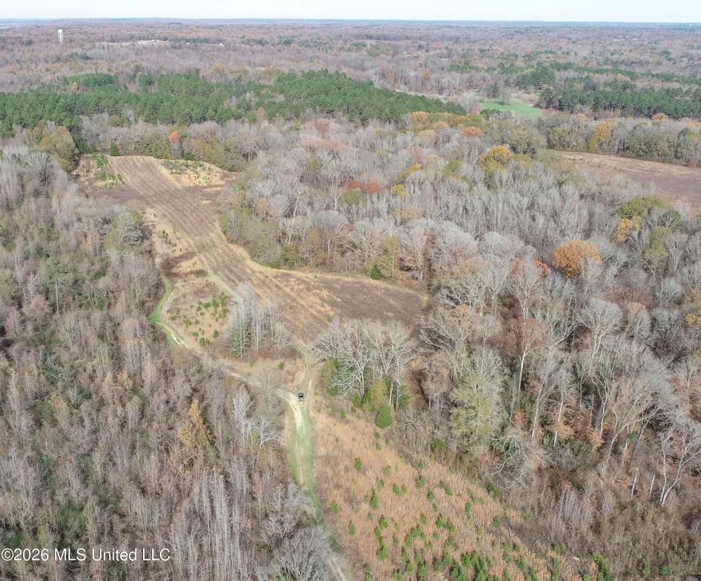 Chinqupin Road Lexington, MS 39095