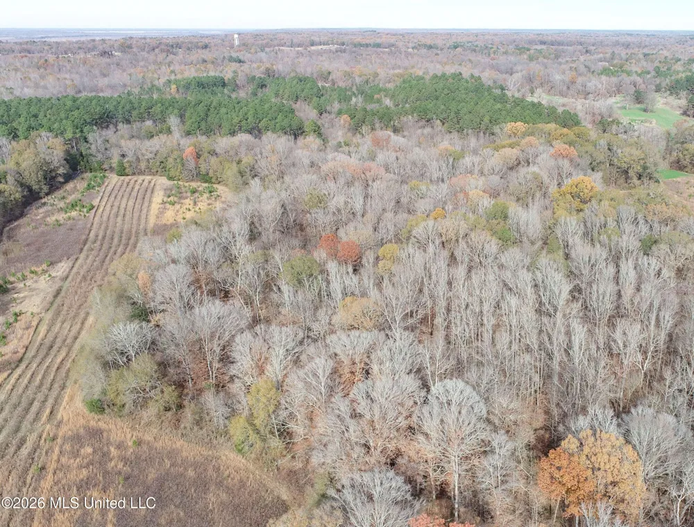 Chinqupin Road Lexington, MS 39095