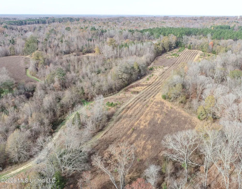 Chinqupin Road Lexington, MS 39095