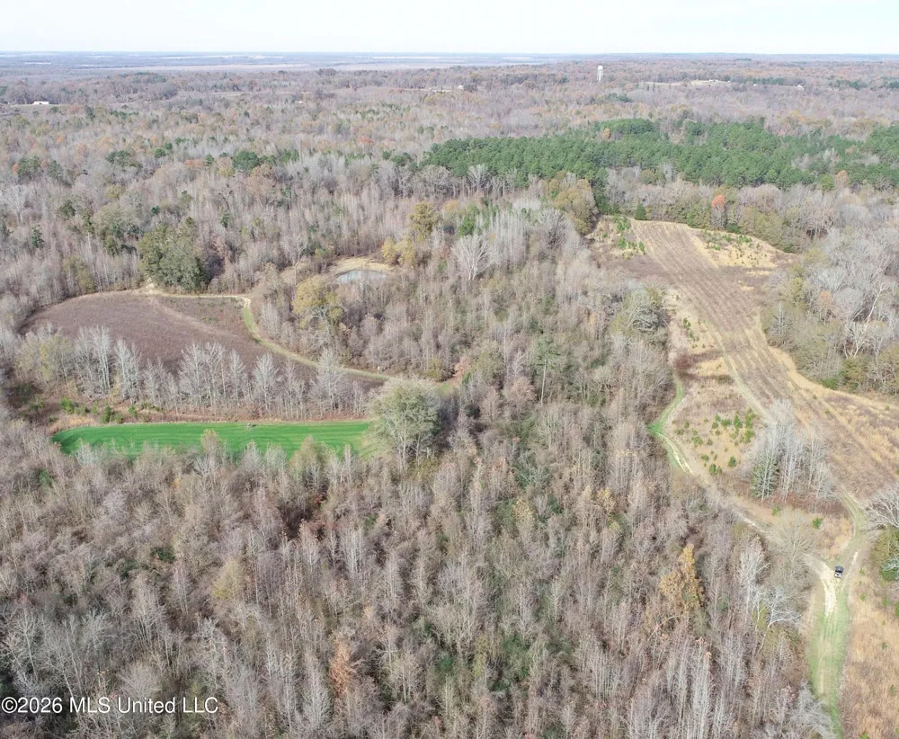 Chinqupin Road Lexington, MS 39095