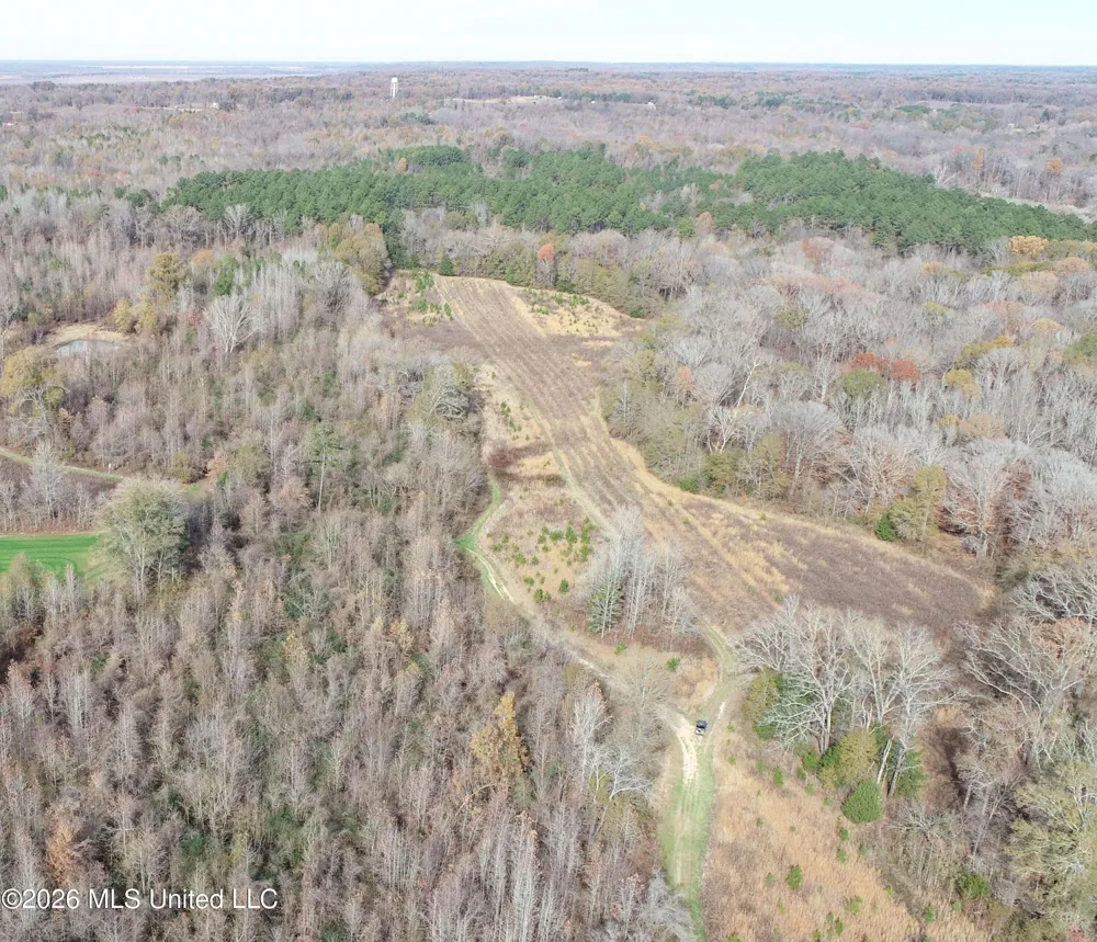 Chinqupin Road Lexington, MS 39095