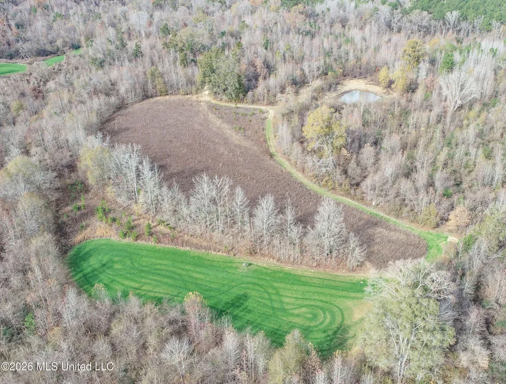 Chinqupin Road Lexington, MS 39095