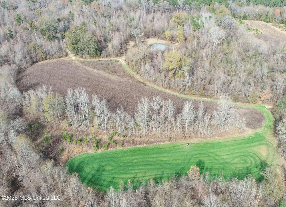 Chinqupin Road Lexington, MS 39095