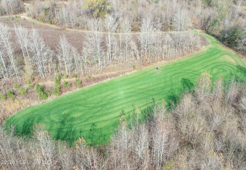 Chinqupin Road Lexington, MS 39095