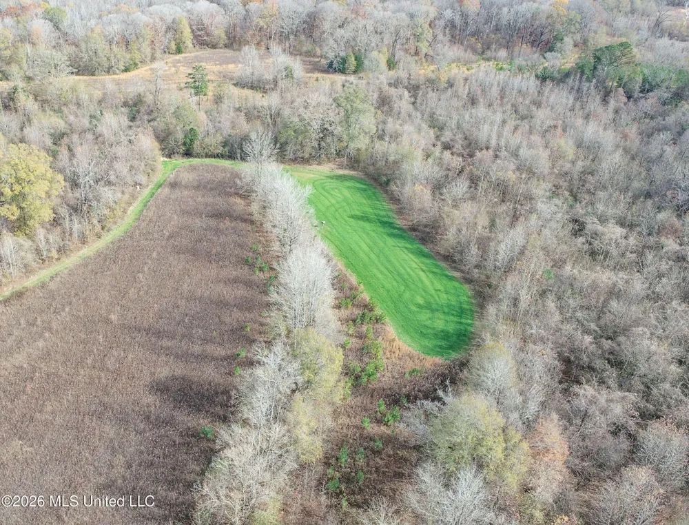 Chinqupin Road Lexington, MS 39095