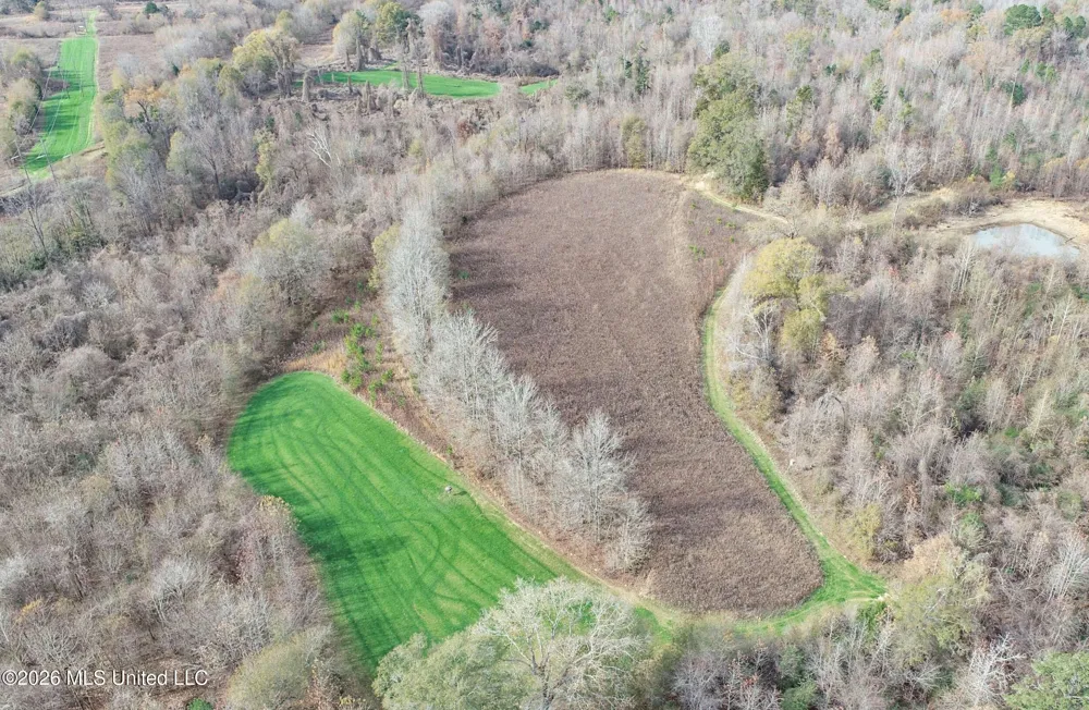Chinqupin Road Lexington, MS 39095