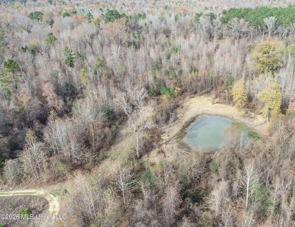 Chinqupin Road Lexington, MS 39095