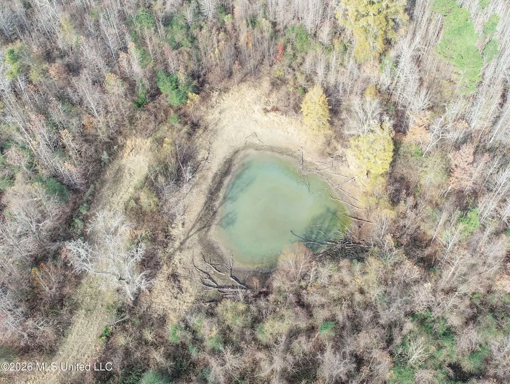 Chinqupin Road Lexington, MS 39095