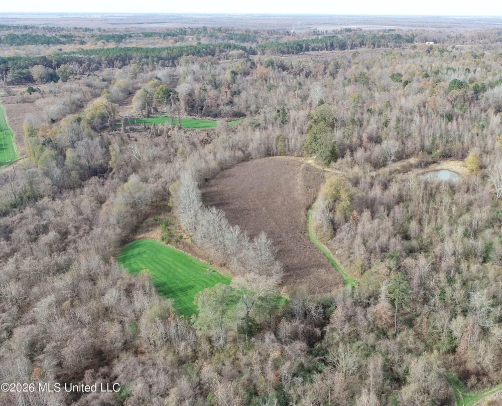 Chinqupin Road Lexington, MS 39095