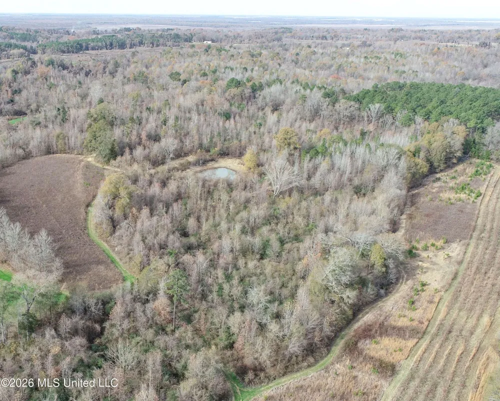 Chinqupin Road Lexington, MS 39095