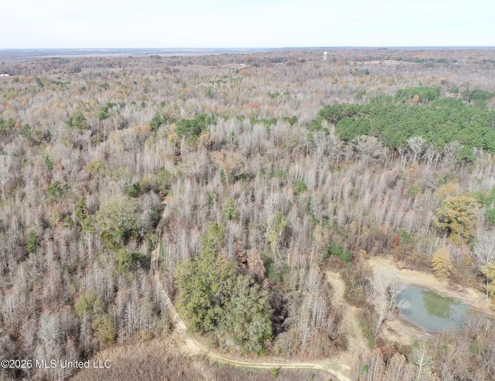 Chinqupin Road Lexington, MS 39095