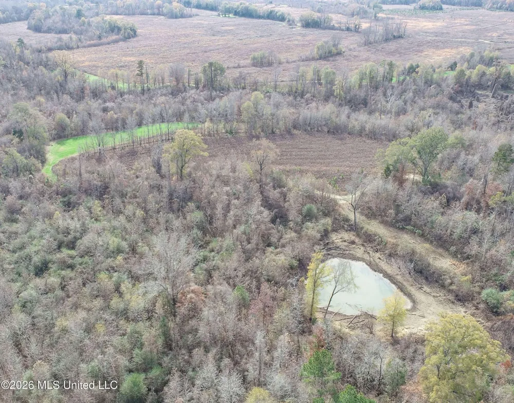 Chinqupin Road Lexington, MS 39095