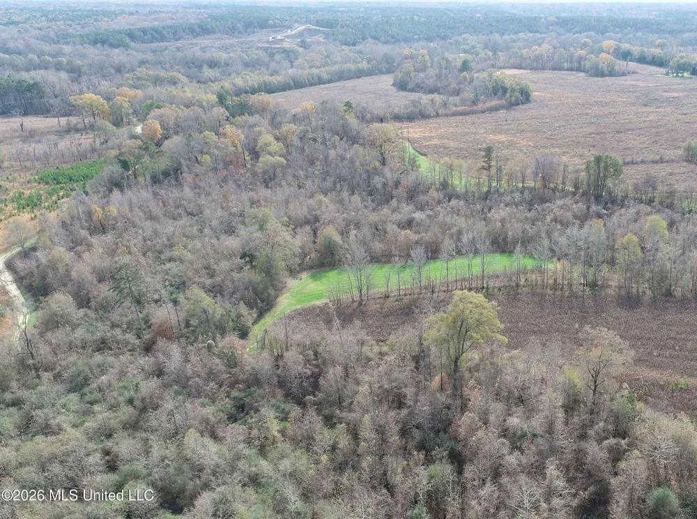 Chinqupin Road Lexington, MS 39095