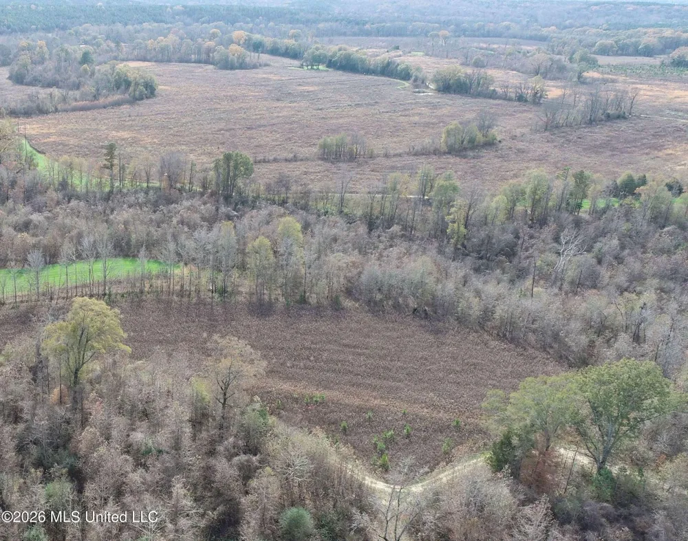 Chinqupin Road Lexington, MS 39095