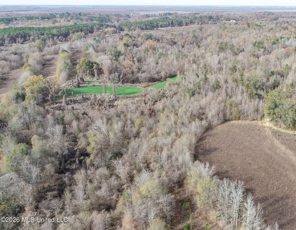 Chinqupin Road Lexington, MS 39095