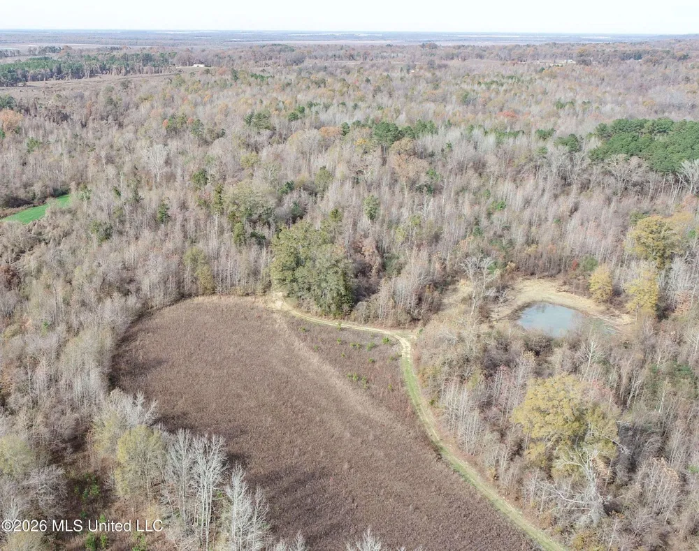 Chinqupin Road Lexington, MS 39095