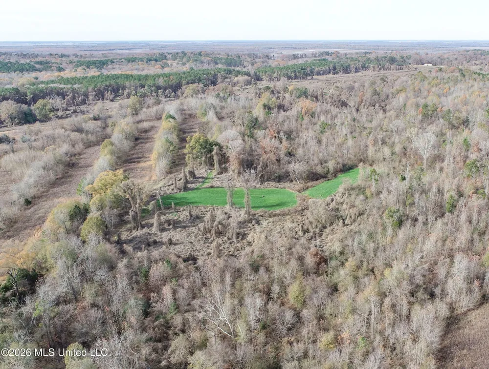 Chinqupin Road Lexington, MS 39095