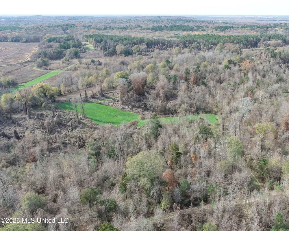 Chinqupin Road Lexington, MS 39095