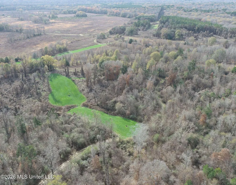 Chinqupin Road Lexington, MS 39095