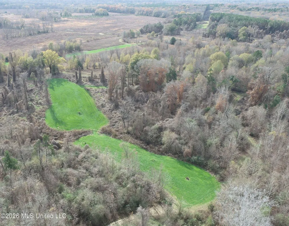 Chinqupin Road Lexington, MS 39095