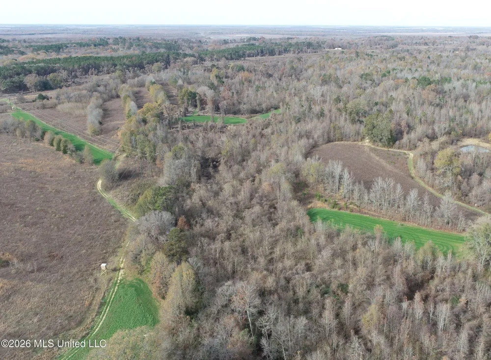 Chinqupin Road Lexington, MS 39095