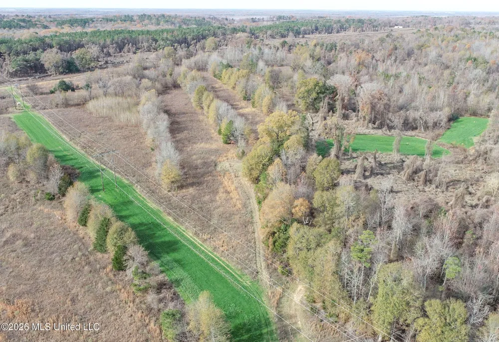 Chinqupin Road Lexington, MS 39095