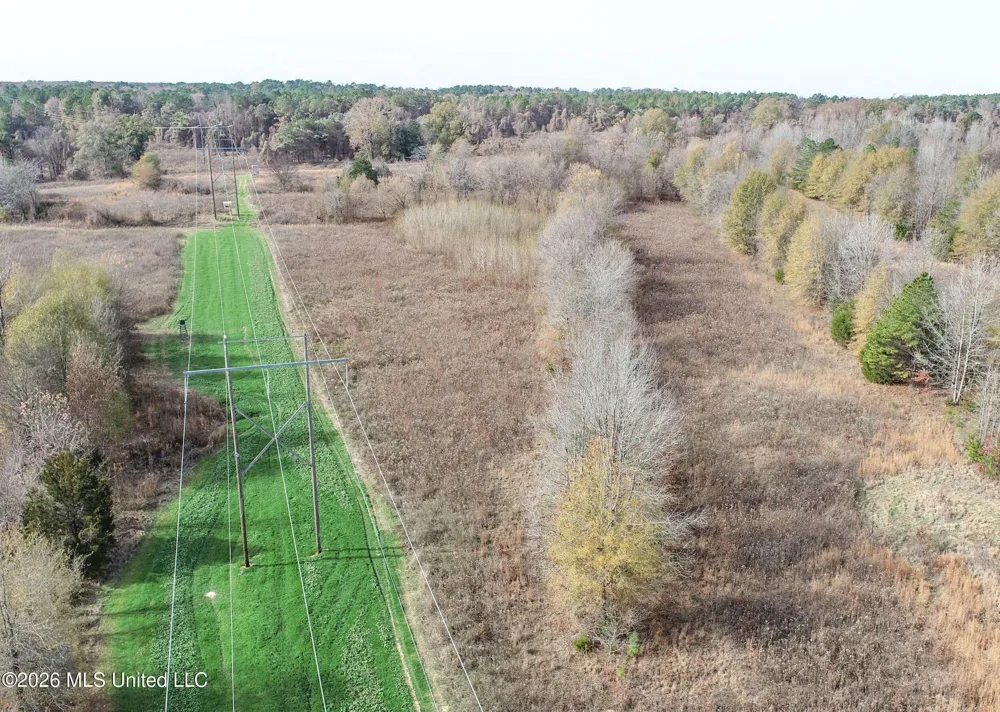 Chinqupin Road Lexington, MS 39095
