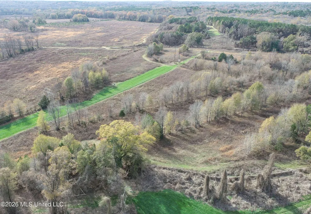 Chinqupin Road Lexington, MS 39095