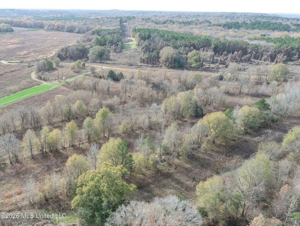 Chinqupin Road Lexington, MS 39095