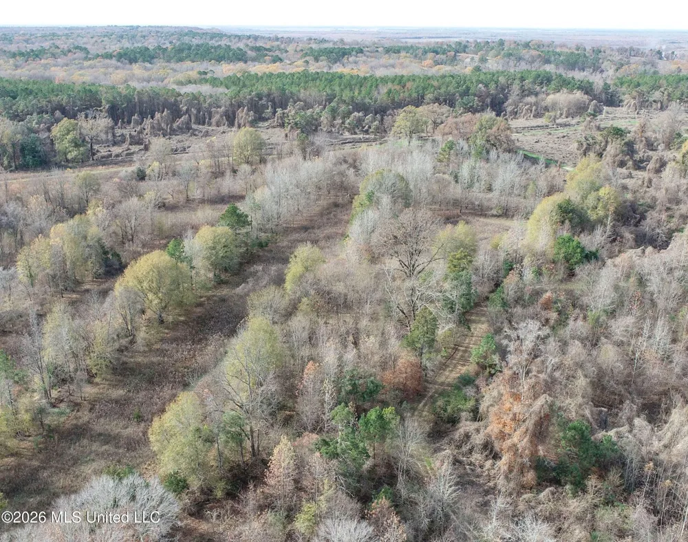 Chinqupin Road Lexington, MS 39095